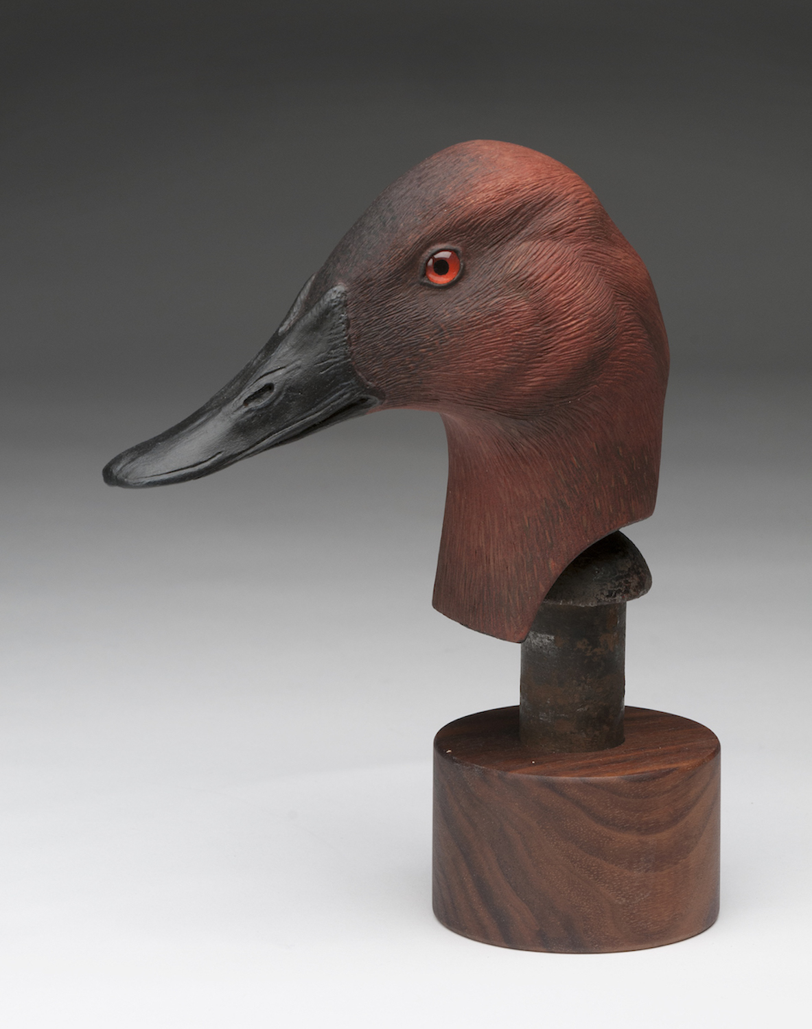 Richard Whittom Duck Head- Canvasback Drake - Don Young