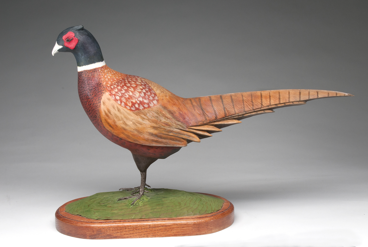 Wildbirds - Novice 3rd Robert Heath - Pheasant