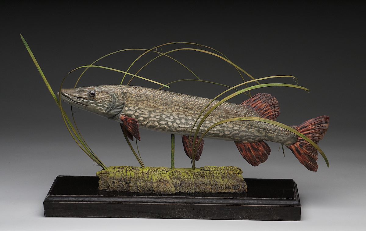 1st Best of Show - Fish, Novice: Tom McCormack - Northern Pike