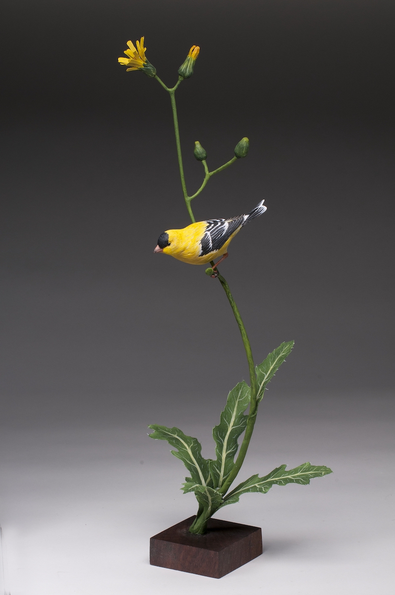 Best of Show - Wildfowl, Open, Maple and Bass Purchase Award: Austin Eade - American Goldfinch